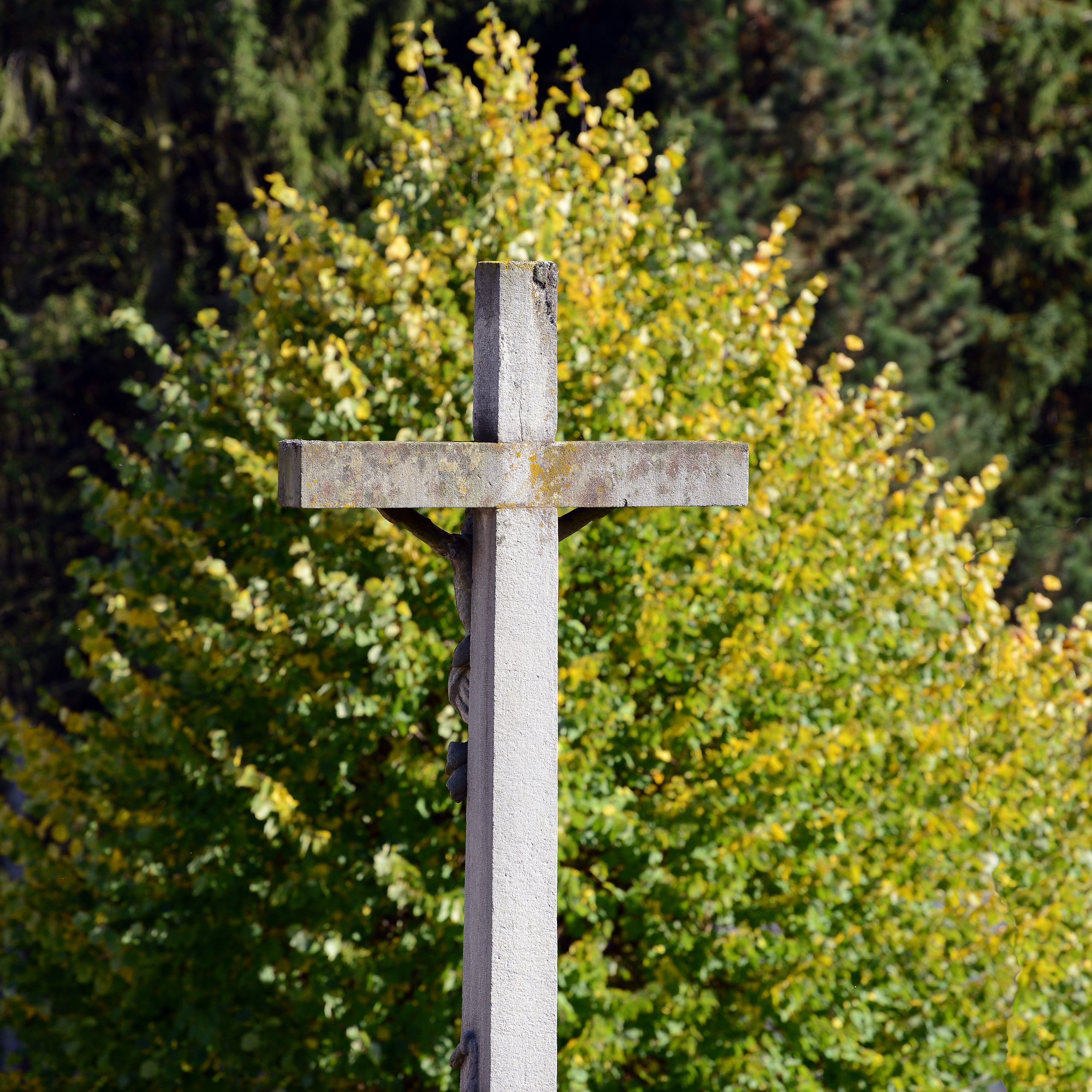 Totengedenken - Andacht auf dem Waldfriedhof
